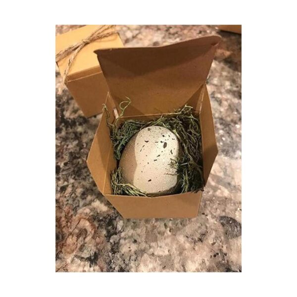 Huevos de Pascua de plástico de 225 pulgadas color_2