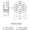 M10x1.0.000 in 304 Acero inoxidable hilo fino brida_3