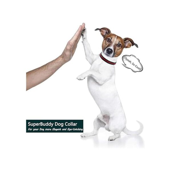 NISIYE Collar de perro de alta calidad suaves y cómodos