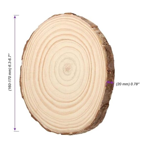 JOIKIT 8 rebanadas de madera natural de 6 a 7 pulgadas_2