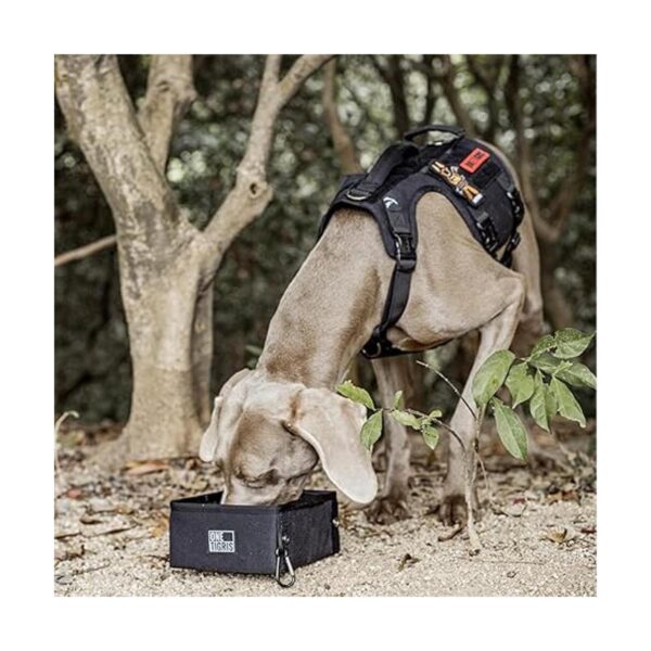 OneTigris Cuenco militar plegable para mascotas de 32_5