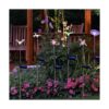 Glintoper Paquete de 6 luces solares de estaca de jardín_4