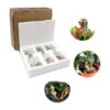Figura de hadas de 6 piezas en miniatura de 6 pulgadas_4