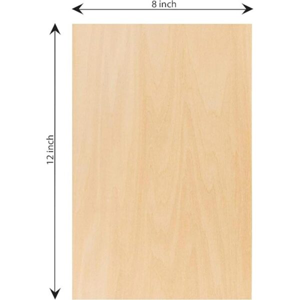 Hammont Hojas de tilo de 12 x 8 x 116 pulgadas paquete
