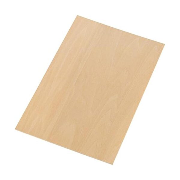 Hammont Hojas de tilo de 12 x 8 x 116 pulgadas paquete