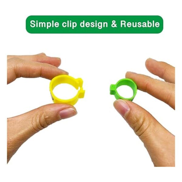 Mivofun 60 anillos numerados para patas de pollo 6