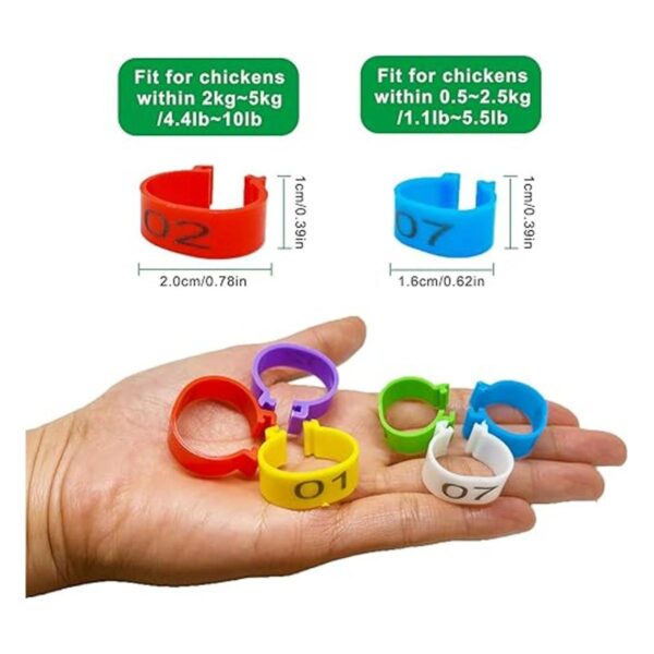 Mivofun 60 anillos numerados para patas de pollo 6