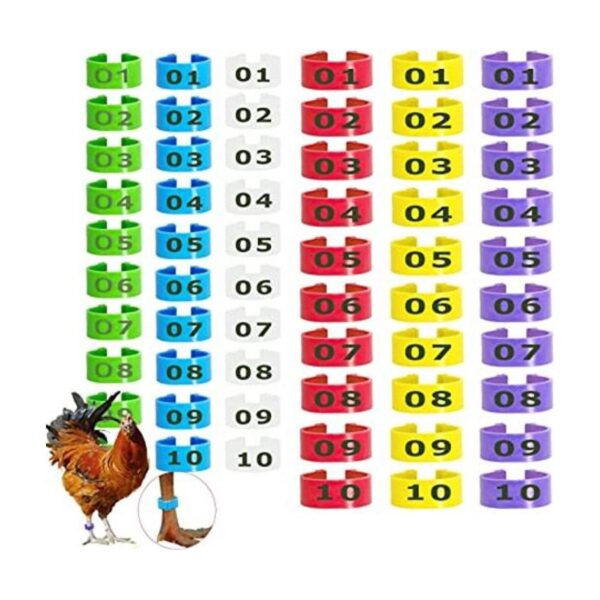 Mivofun 60 anillos numerados para patas de pollo 6