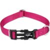 Hyhug Mascotas Collar básico clásico regular resistente