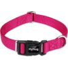 Hyhug Mascotas Collar básico clásico regular resistente