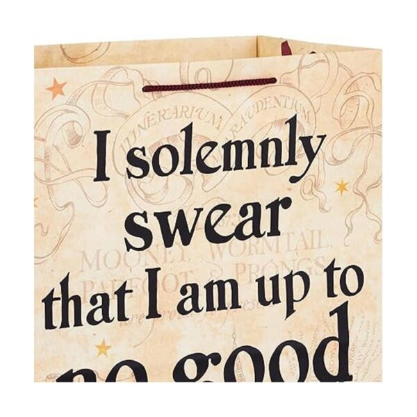 Hallmark Paquete de bolsa de regalo grande de Harry Potter_5