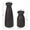 Joynisy Juego de 2 jarras de cerámica color negro mate_2