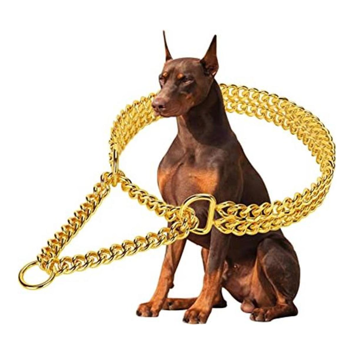 Collar de cadena de oro para perro collar de perro de