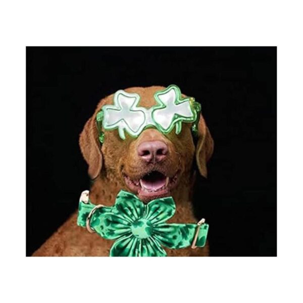 Lionheart Glory Collar de perro del día de San Patricio