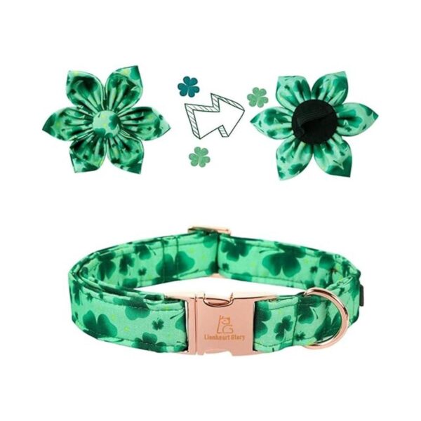 Lionheart Glory Collar de perro del día de San Patricio