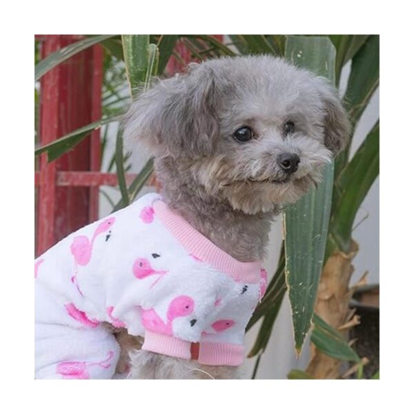 CuteBone Dog Winter Clothes Thick Velvet Coat Puppy Outfit_2