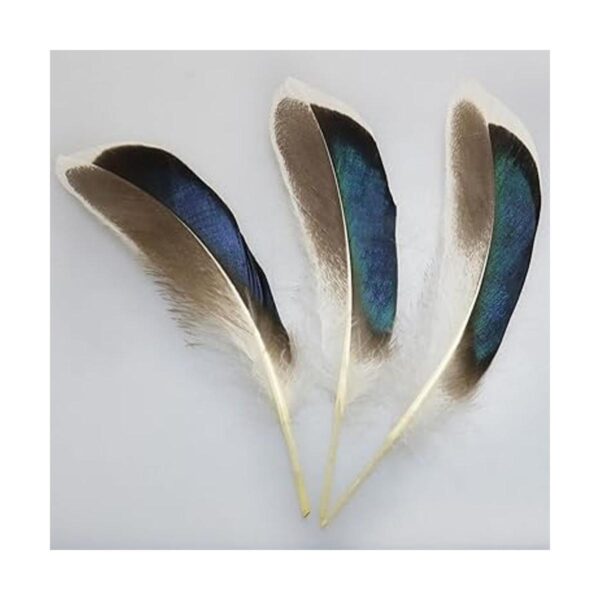 LUORNG 150 plumas de pato plumas naturales para_4