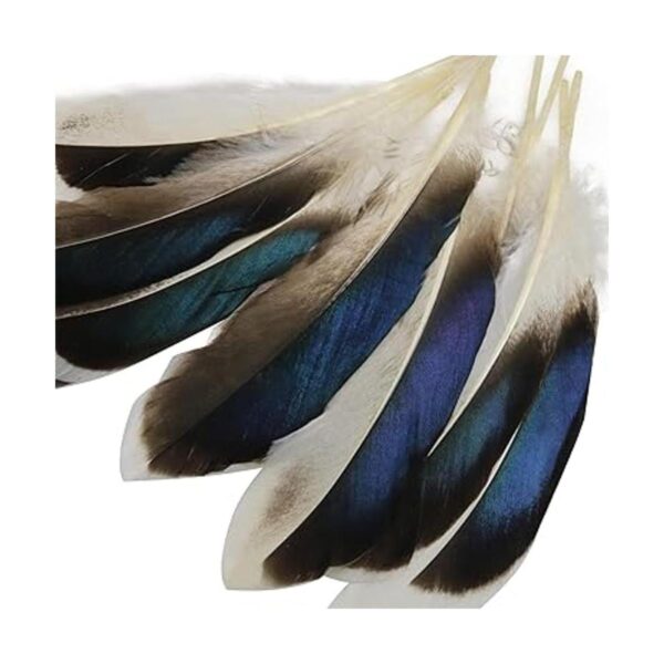 LUORNG 150 plumas de pato plumas naturales para_5