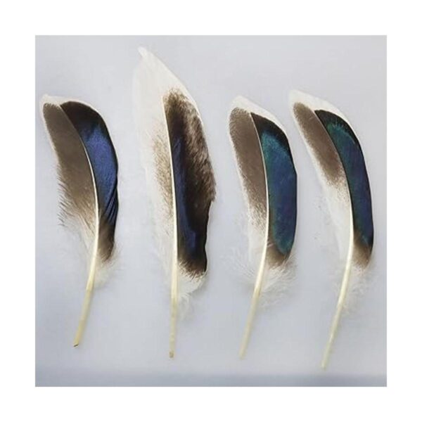 LUORNG 150 plumas de pato plumas naturales para_3