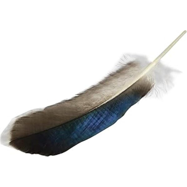 LUORNG 150 plumas de pato plumas naturales para_2