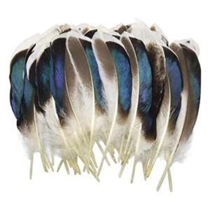 LUORNG 150 plumas de pato plumas naturales para_1