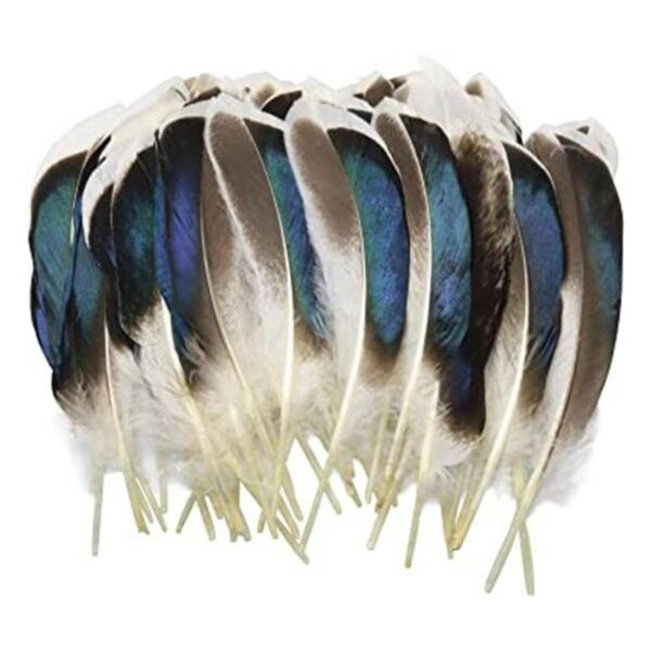 LUORNG 150 plumas de pato plumas naturales para_1