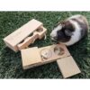 Dewonch Small Animals Hide Treats Foraging Puzzle Toys_6