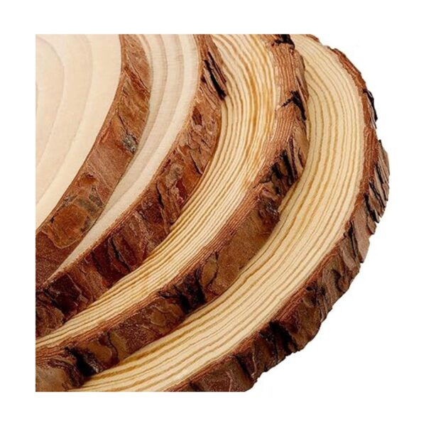 MUKCHAP 10 piezas de rebanadas de madera de pino natural_3