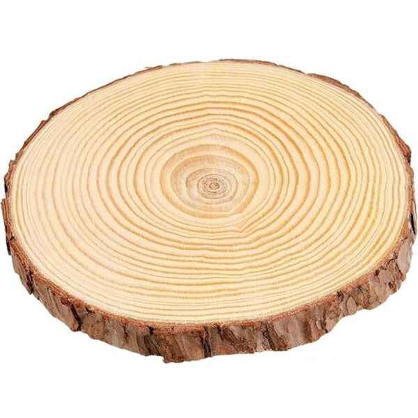 MUKCHAP 10 piezas de rebanadas de madera de pino natural_5