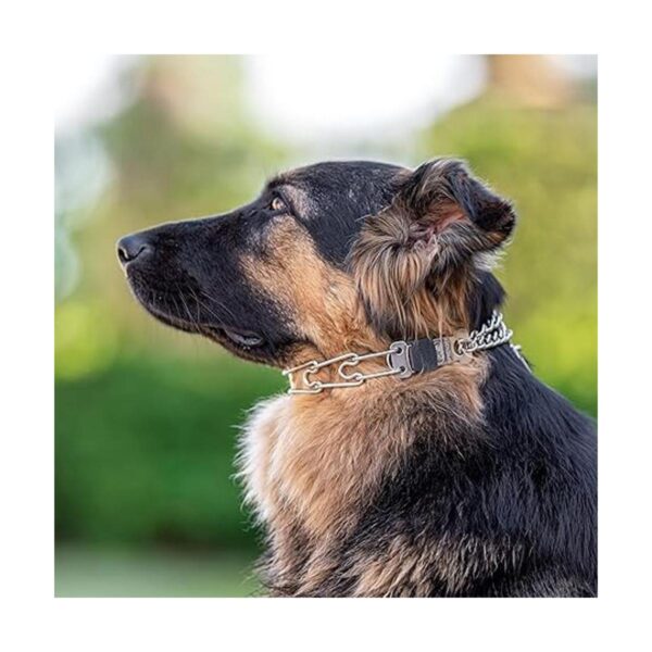 Herm Sprenger Collar de perro de acero inoxidable con