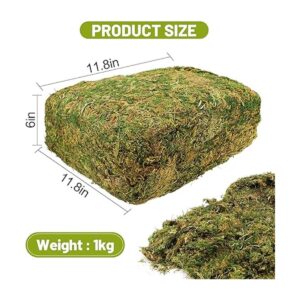 Musgo artificial de gran capacidad de 35 onzas para