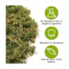 Musgo artificial de gran capacidad de 35 onzas para