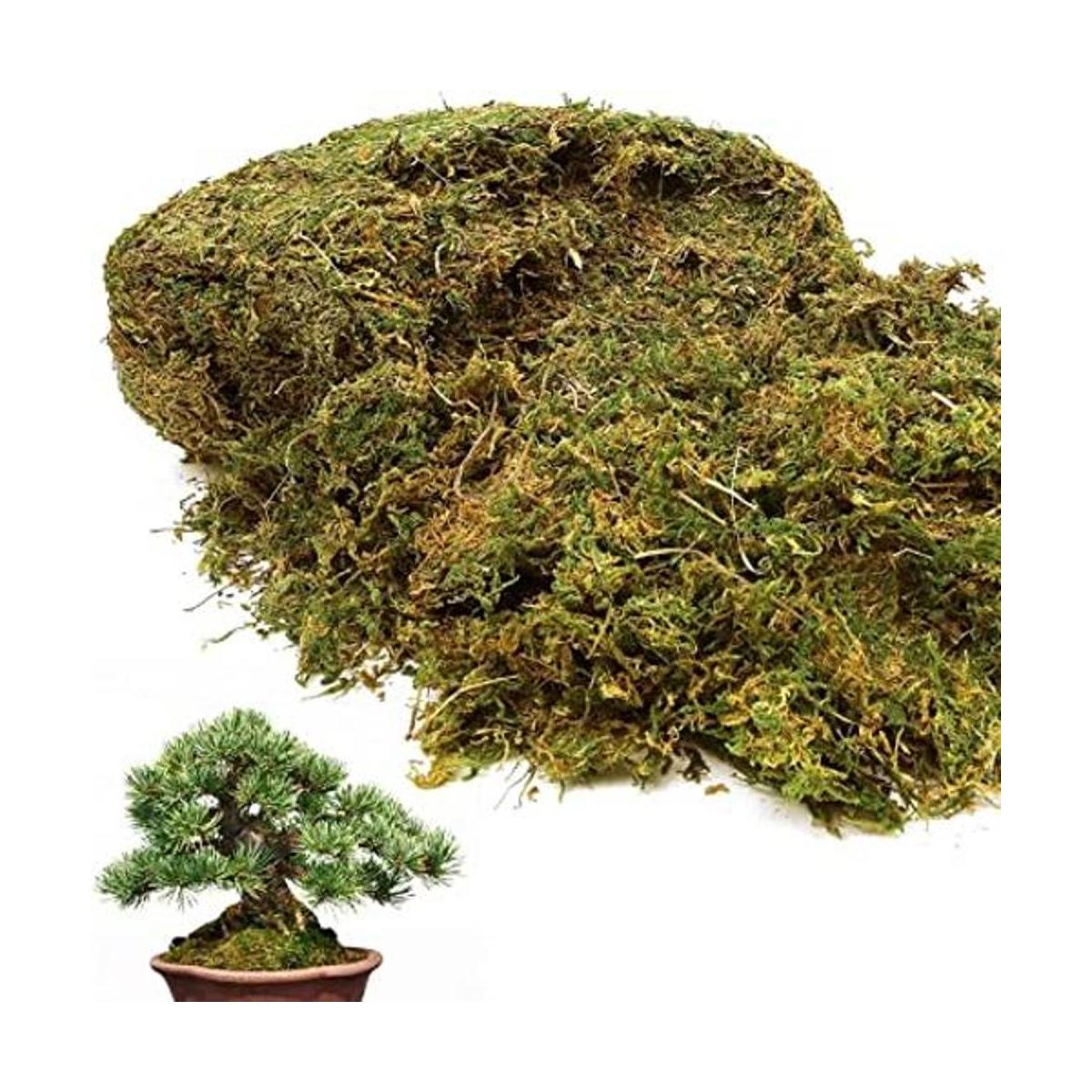 Musgo artificial de gran capacidad de 35 onzas para