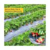 HongWay Paquete de 180 grapas de jardín de 6 pulgadas_5
