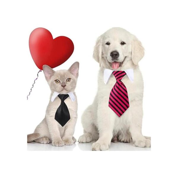 4 corbatas para perro gato perro corbata corbata de