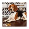 North States MyPet Barrera de paso y bolígrafo con kit de