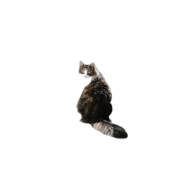 Dahey Hamaca de macramé para gatos y gatos estilo_1