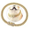 Dopetie Collar de perro con cadena de oro con circonitas_1