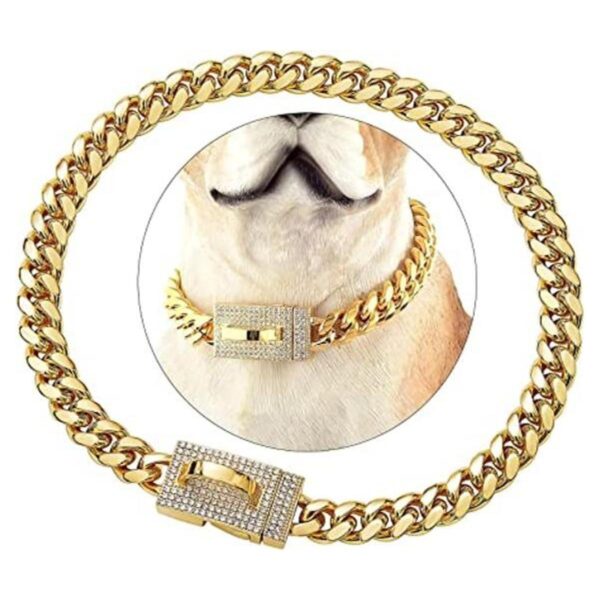 Dopetie Collar de perro con cadena de oro con circonitas_1