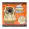 Jishi Caja de broma de araña regalo divertido de broma