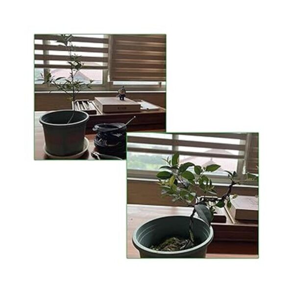 CertBuy 5 rollos de alambre de bonsái de 5 tamaños 0.039_3