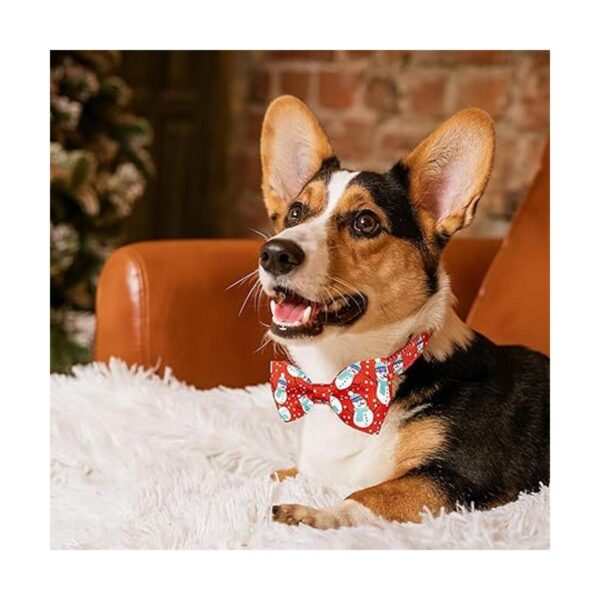 Collar de perro de Navidad con corbatín paquete de 2