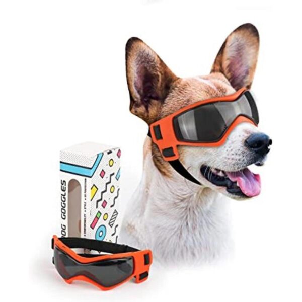 PETLESO Gafas de sol para perros de raza pequeña fáciles_1