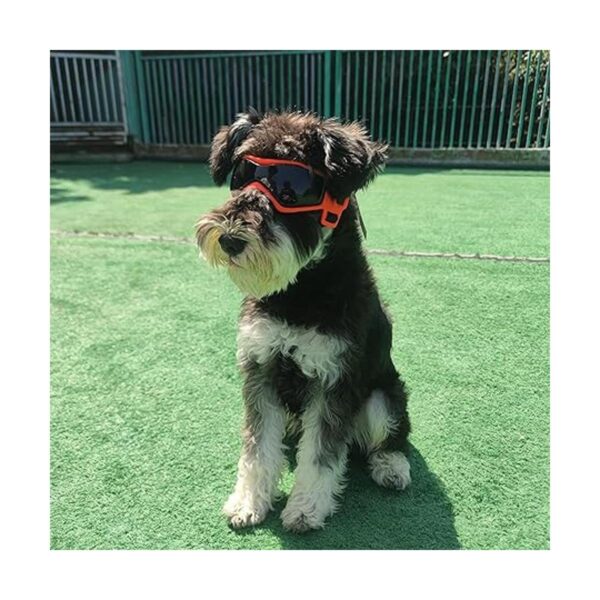 PETLESO Gafas de sol para perros de raza pequeña fáciles_5