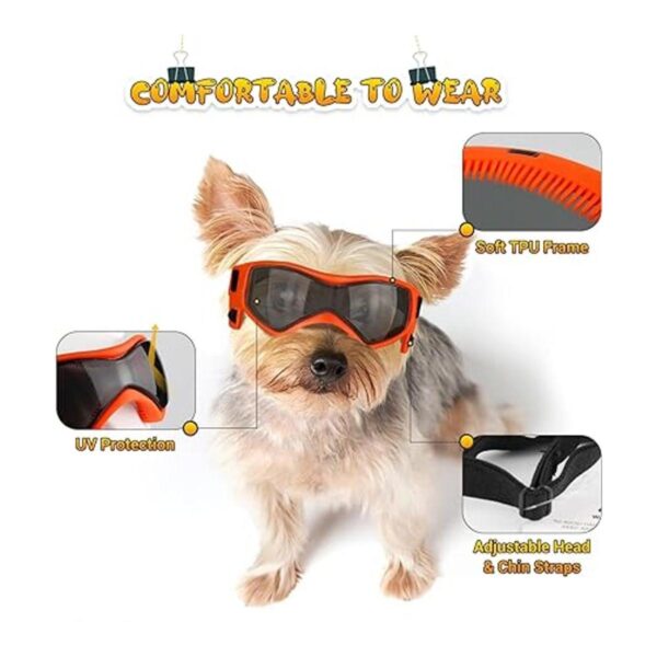 PETLESO Gafas de sol para perros de raza pequeña fáciles_2