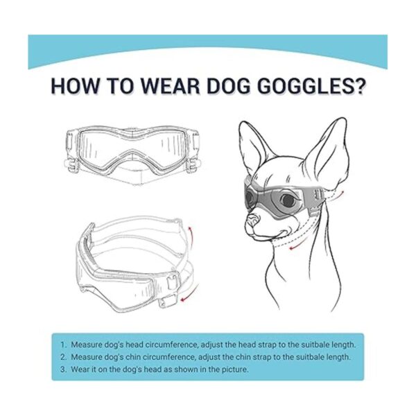 PETLESO Gafas de sol para perros de raza pequeña fáciles_3