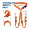 Lukovee Cinturón de seguridad doble para perro nuevo_6
