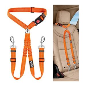 Lukovee Cinturón de seguridad doble para perro nuevo_1