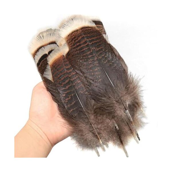 LUORNG Plumas de pavo natural 20 piezas de 5.97.9_2