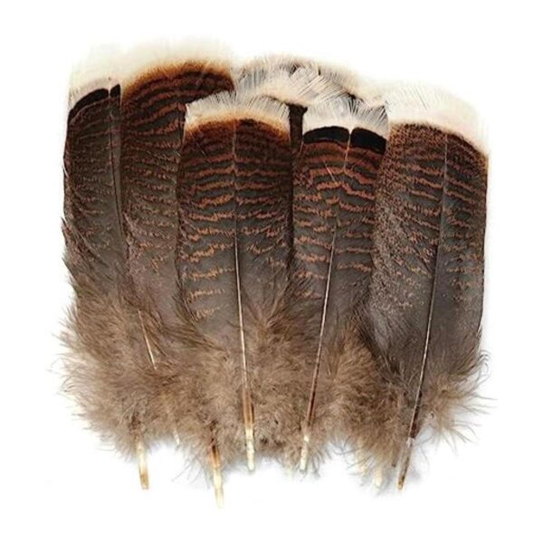 LUORNG Plumas de pavo natural 20 piezas de 5.97.9_1